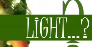 &iquest;Qu&eacute; tiene de Light lo que comes?