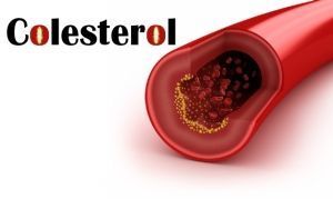 ALIMENTOS BENEFICIOSOS Y ALIMENTOS CONTAPRODUCENTES: COLESTEROL