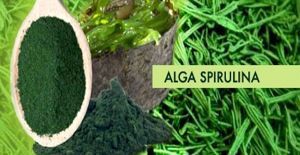 Spirulina &iquest;Tendencia o realidad?